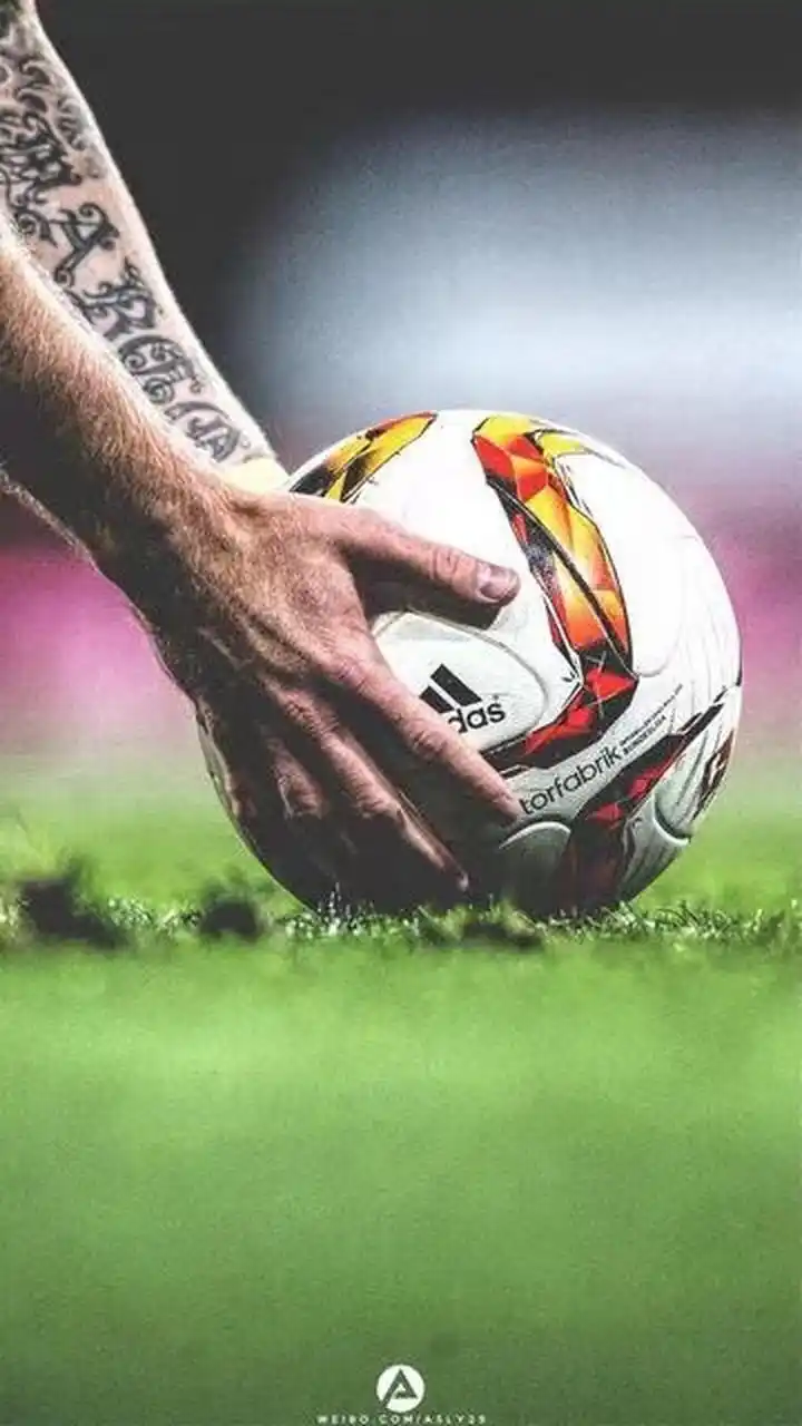 也因为盲目 也因为盲目