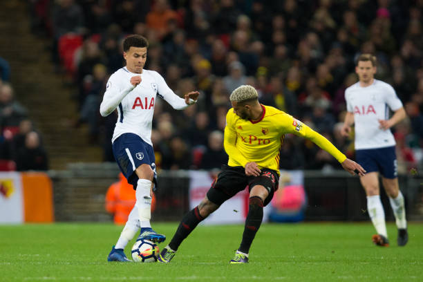 卢比奥个人 卢比奥个人